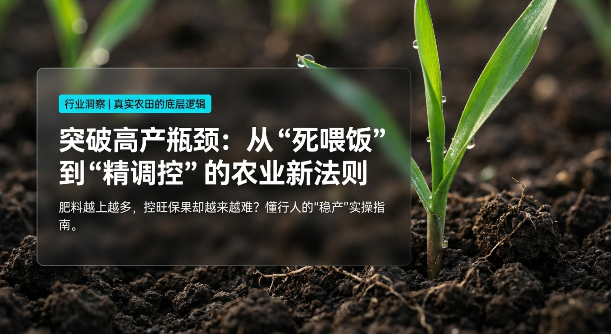 肥料越上越多，控旺保果却越来越难？懂行的都在偷偷做这件 稳产事